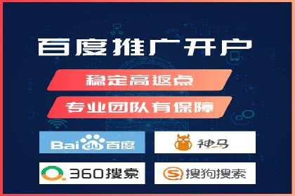 网络推广与竞价广告：双管齐下的策略案例